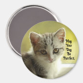 Purrfect Day Kitten Magnet (Recto/Verso)