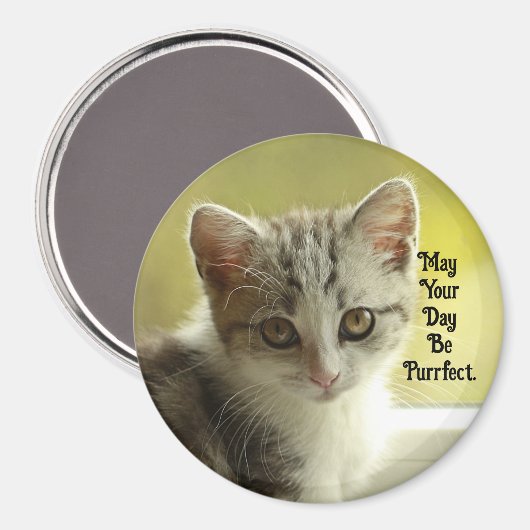 Purrfect Day Kitten Magnet (Recto/Verso)