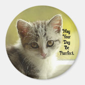 Purrfect Day Kitten Magnet (Devant)