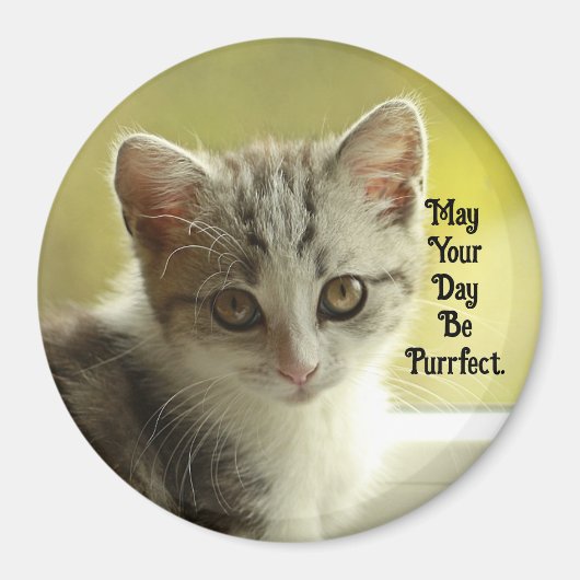 Purrfect Day Kitten Magnet (Devant)