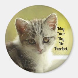 Purrfect Day Kitten Magnet Magneet