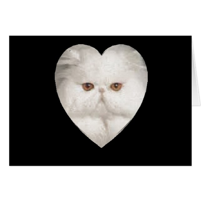 Purrfect Kitty (Devant horizontal)