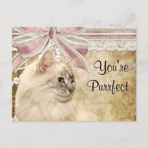 Purrfect kitty valentine feestdagenkaart