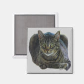 Purrfect magnet magneet (Voorkant / Achterkant)