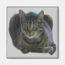 Purrfect magnet magneet