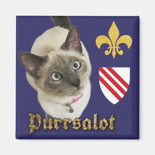 Purrsalot Magnet Magneet (Voorkant)