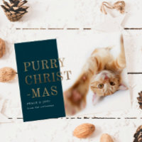 Purry kerstkat Foto Deep Green Gold