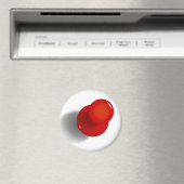 Push Pin Magnet Magneet (Insitu (Vaatwasser))