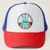 PUSH Trucker Hat Pet (Voorkant)