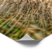 pusteblume 2007 poster (Hoek)