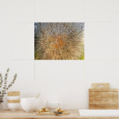 pusteblume 2007 poster (Keuken)