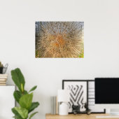 pusteblume 2007 poster (Thuiskantoor)