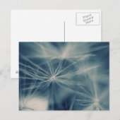 Pusteblume Briefkaart (Voorkant / Achterkant)