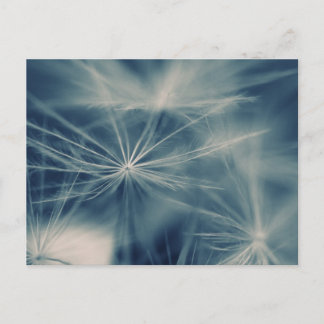 Pusteblume Briefkaart
