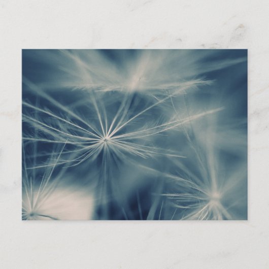 Pusteblume Briefkaart (Voorkant)