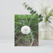 Pusteblume Briefkaart (Staand voorkant)