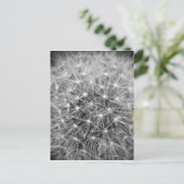 Pusteblume Briefkaart (Staand voorkant)