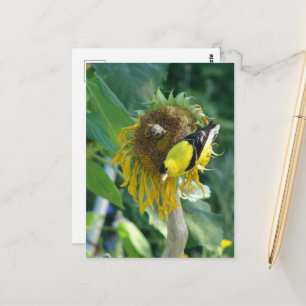 Puttertje en een zonnebloem briefkaart