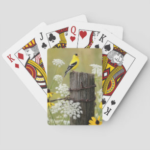 Puttertje zingend op een hekpilaar pokerkaarten