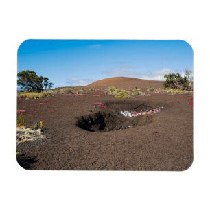 pu'u pua'i cinder cone langs byron ledge trail magneet