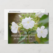 Puur hart briefkaart (Voorkant / Achterkant)