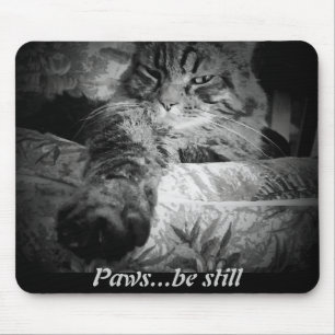 Puwen...nog steeds. Funny Cat Muismat