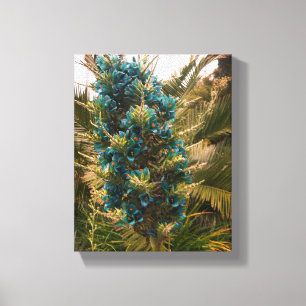 Puya Berteroniana #1 Canvas Afdruk