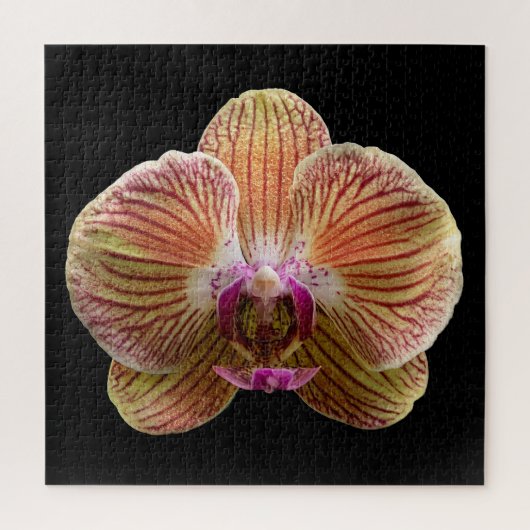 Puzzel (Verticaal)