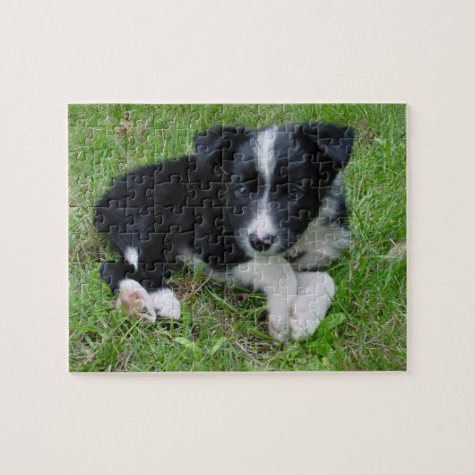  puzzel aan de rand Collie! (Horizontaal)
