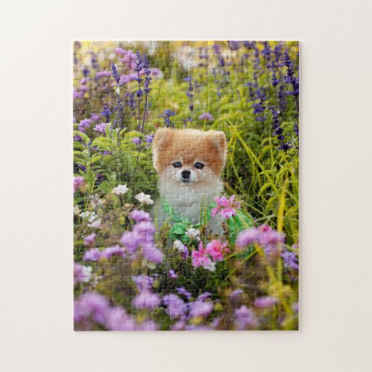 Puzzel - Bella Pomeranian Geheime tuin (Verticaal)