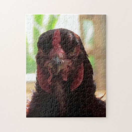 Puzzel - Boze kip (Verticaal)