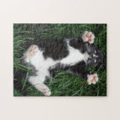 Puzzel Cat Knuffels (Horizontaal)