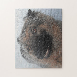Puzzel Duitse Herder Lachend