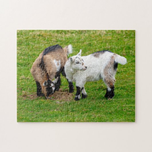 Puzzel Dwerggeitjes (Horizontaal)