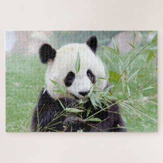 puzzel Foto reus panda, animal 0343.
