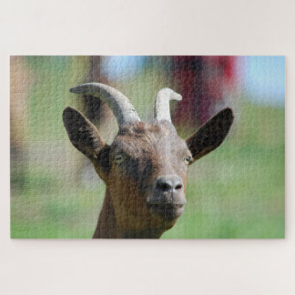 puzzel _ geit