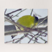 Puzzel - Gele vink in de winterboom (Horizontaal)