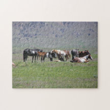 puzzel - Geschilderde paarden