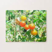 Puzzel - Kerstomaten (Horizontaal)