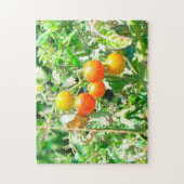 Puzzel - Kerstomaten Legpuzzel (Verticaal)