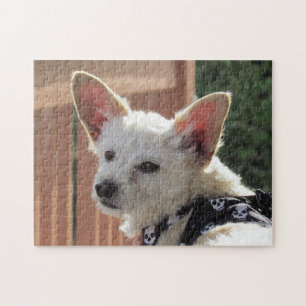 Puzzel - kleine witte hond