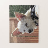 Puzzel - kleine witte hond (Verticaal)