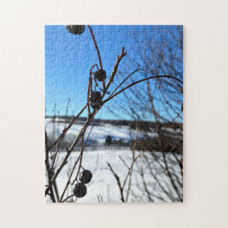 Puzzel Landschap Winterbessen