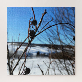 Puzzel Landschap Winterbessen