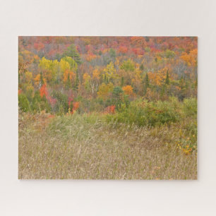 PUZZEL/"LEVENDIG PLATTELAND IN HERFST" LEGPUZZEL