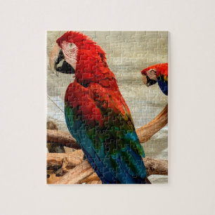 Puzzel met ara's op boomtak