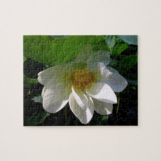 Puzzel met fijne witte Lotusventilator Legpuzzel (Horizontaal)