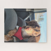 puzzel met Kio de puppy Legpuzzel (Horizontaal)