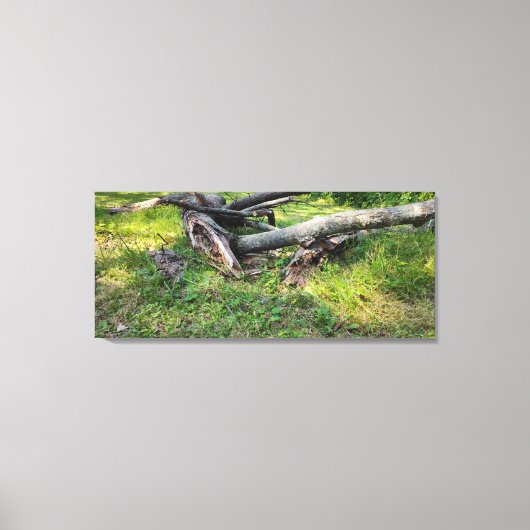 Puzzel met omgevallen bomen canvas afdruk (Voorkant)