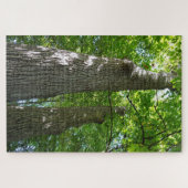 Puzzel over 1.000 stuks, die Bomen met het bloeden (Horizontaal)